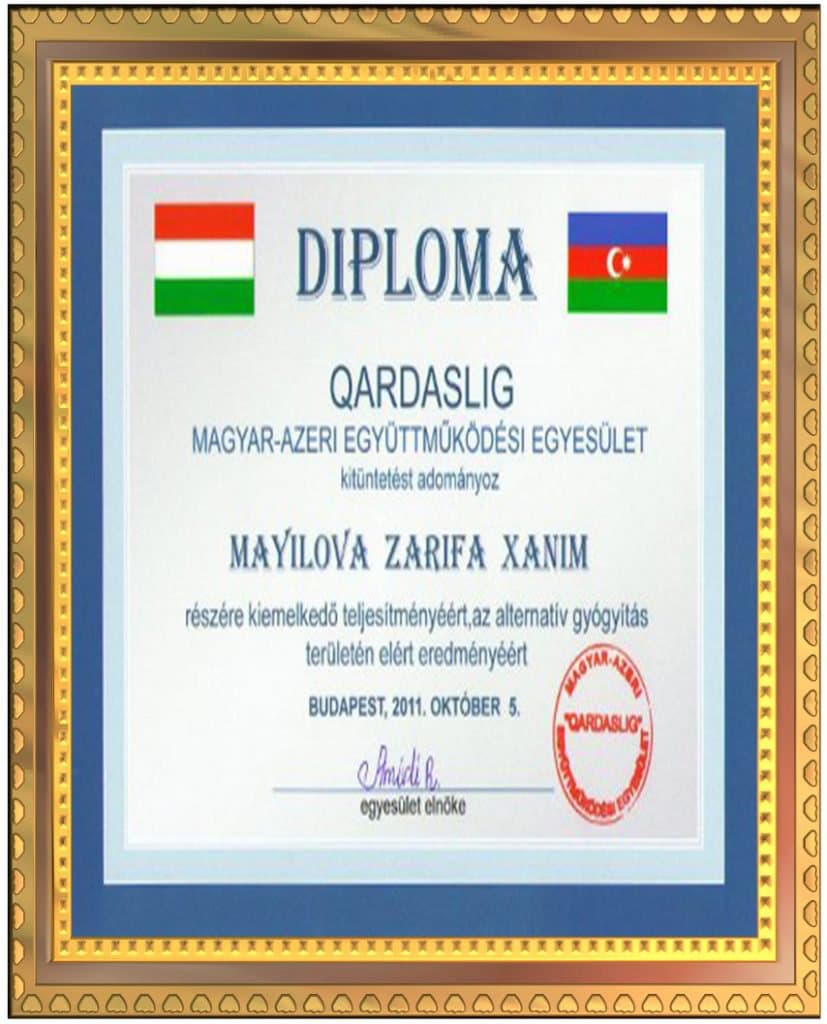 05.11.2011 Budapeştdə göstərilən xidmətlərə görə Qardaşlıq diplomunu aldı