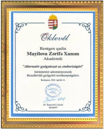 Budapeştdə 04/11/2011 Alternativi olmayan adı verildi